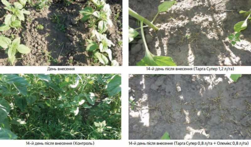 comment fonctionne l'herbicide targa super