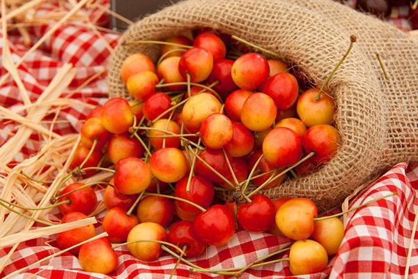 La pulpa de cereza contiene muchas vitaminas.