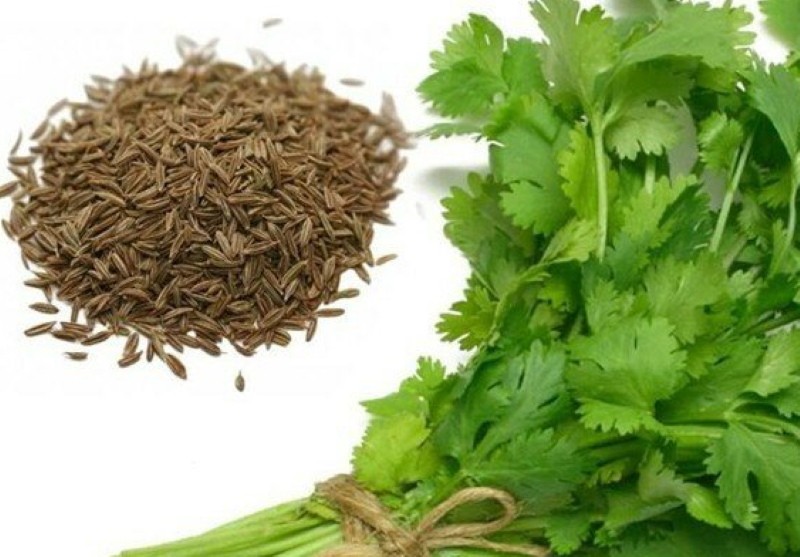 graines de persil onctueuses et aromatiques