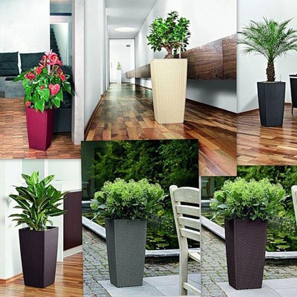 plantas en macetas con riego automático