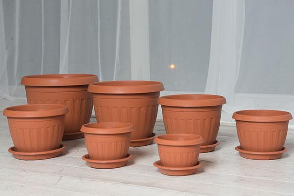 sélection de pots