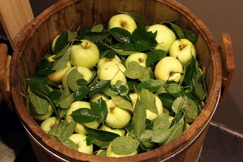 receta de manzanas en escabeche en el espíritu de las tradiciones rusas