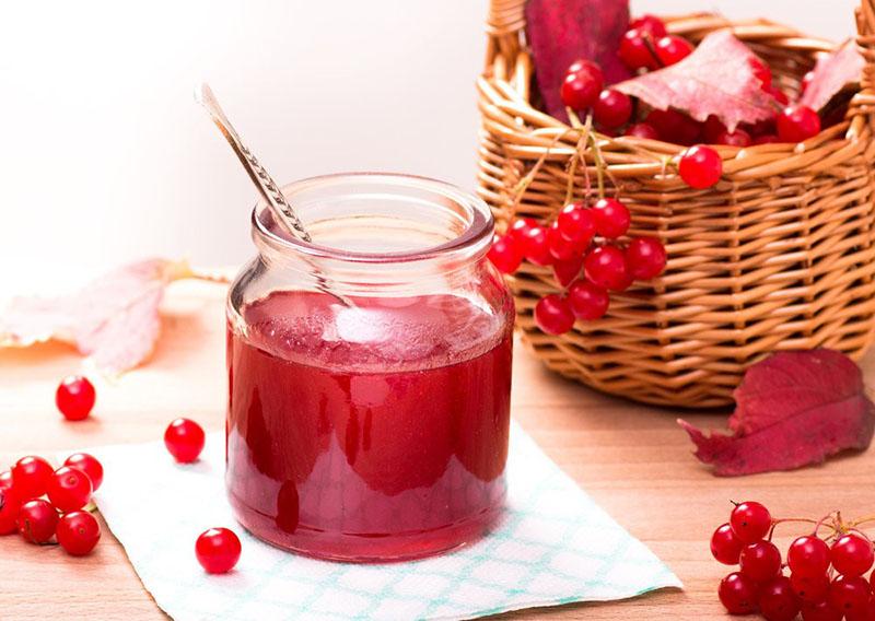 jugo de viburnum