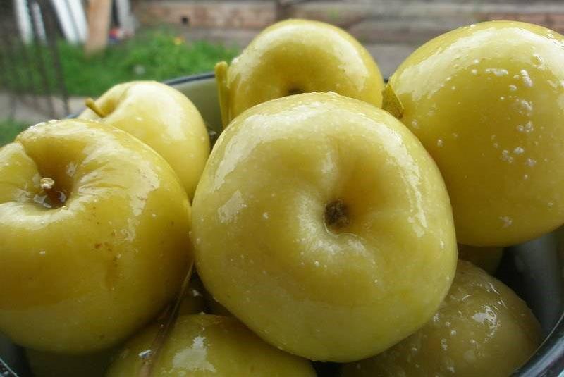deliciosas manzanas en escabeche