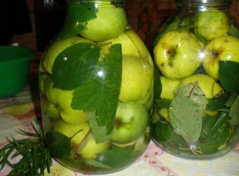 receta de manzanas remojadas en botellas