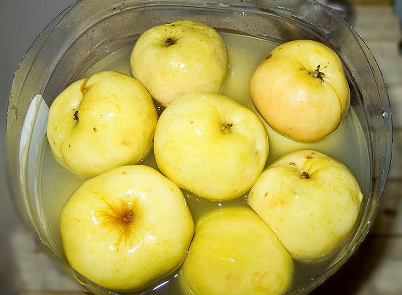 manzanas en escabeche de la variedad Antonovka