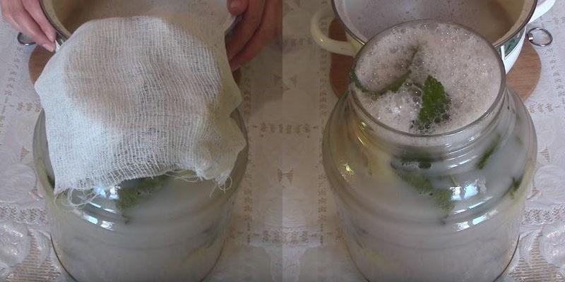 proceso de fermentacion