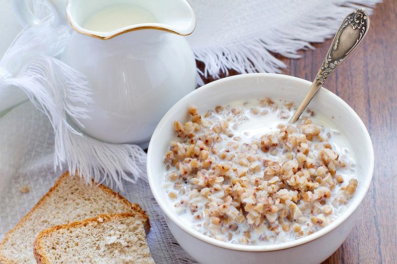 el trigo sarraceno con leche no es útil para todos