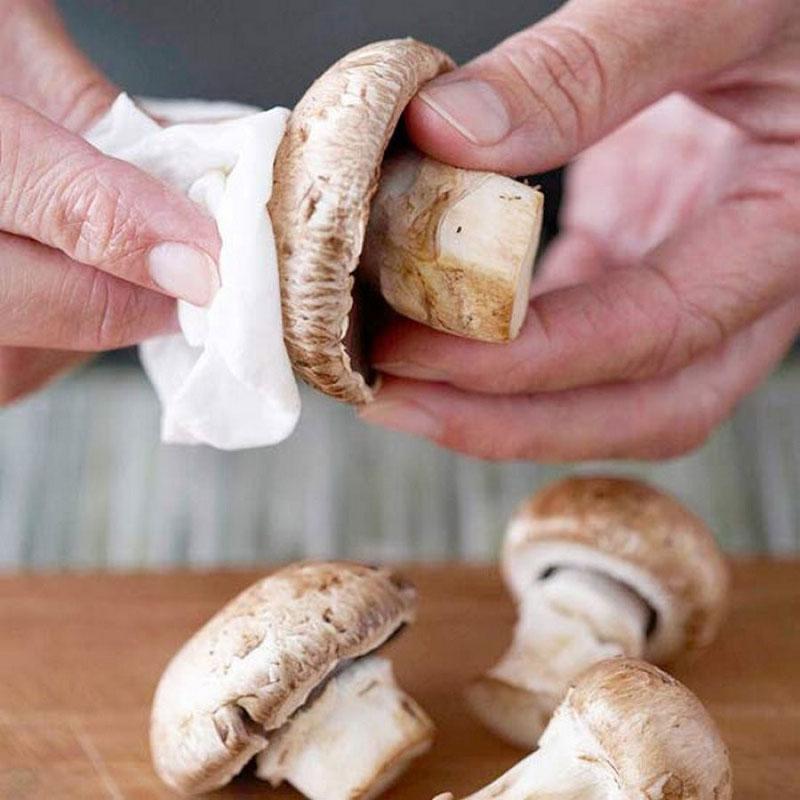 preparación de hongos para secar