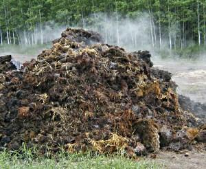 Estiércol como fertilizante orgánico