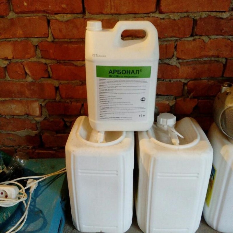 herbicide imazatapir en arbonal