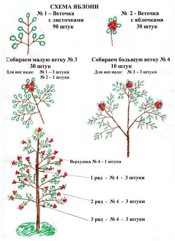 diagrama de manzano