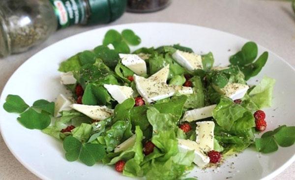 ensalada agria