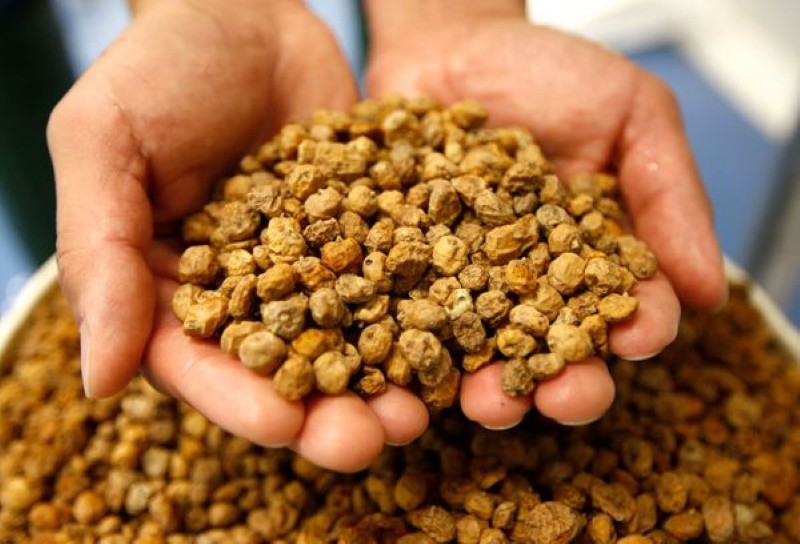 almendras molidas chufa propiedades útiles de las nueces