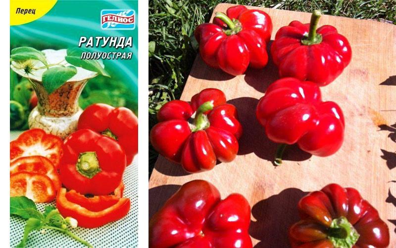 semillas de pimiento ratunda