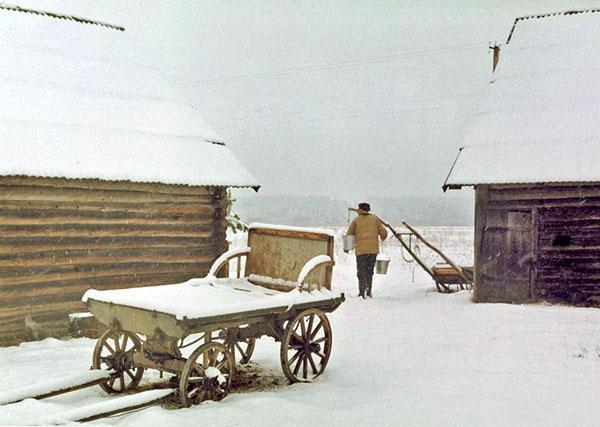 Tâches de janvier à la ferme