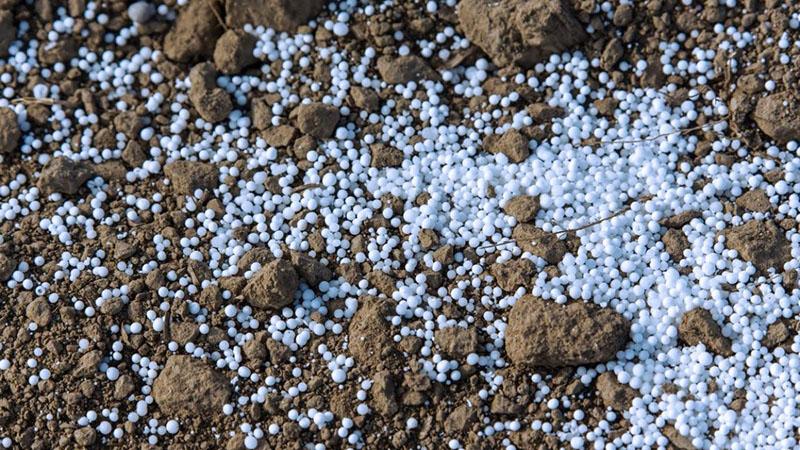 fertilizando con fertilizantes minerales