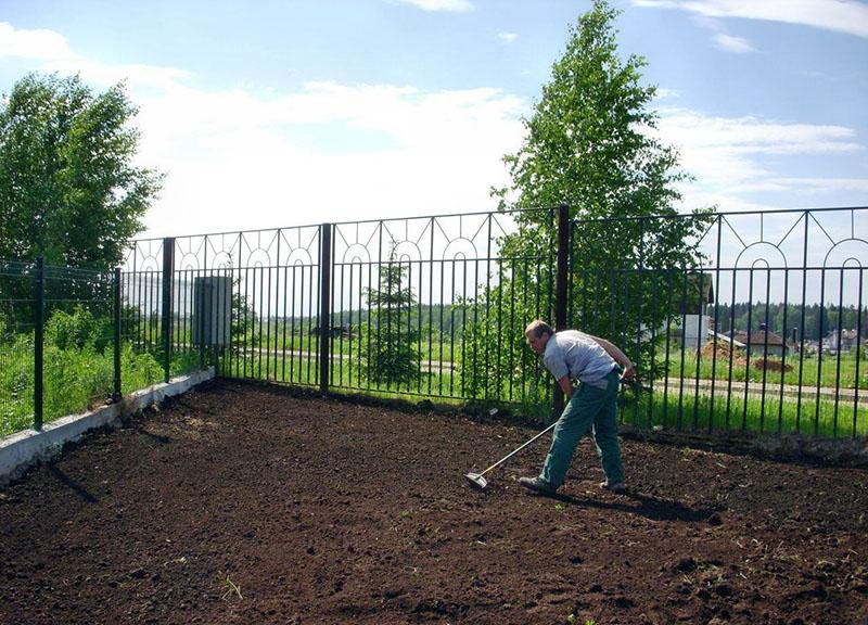 preparación del sitio