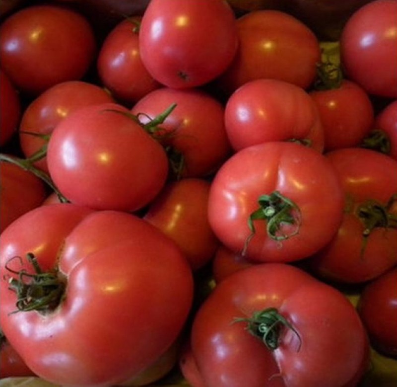 poupée de fruits tomate masha