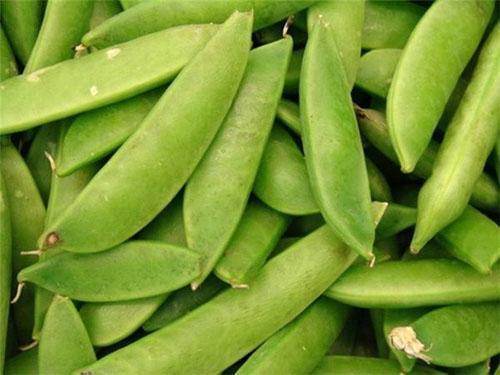 Las vainas de guisantes están listas para congelar.