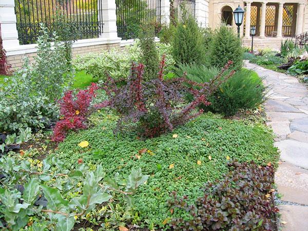 composiciones con ganso plateado
