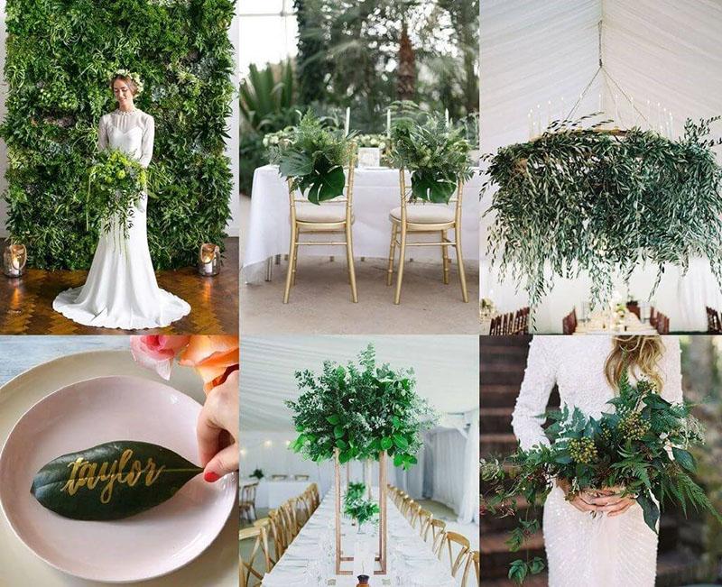 feuilles de ruscus en design d'intérieur