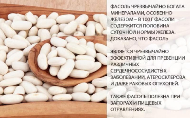 propriétés bénéfiques des haricots blancs