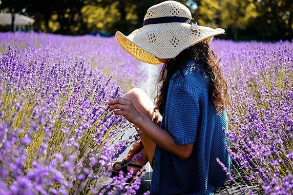 il y a des contre-indications d'utilisation