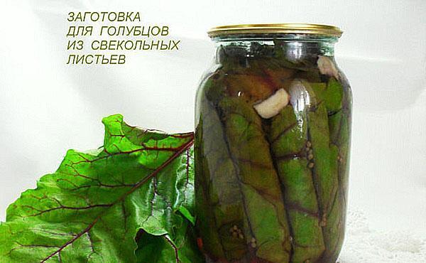 hojas de remolacha en escabeche