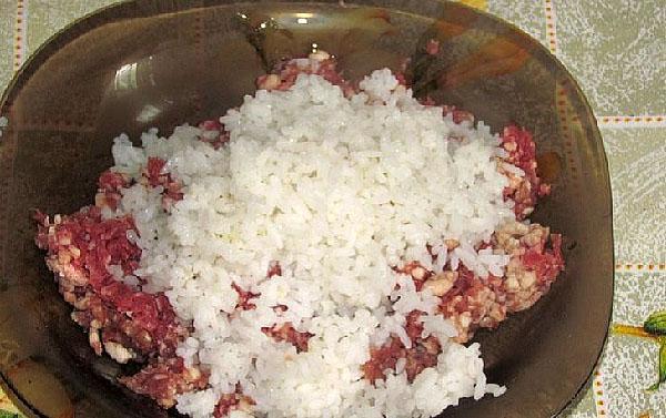 mezclar arroz con carne picada