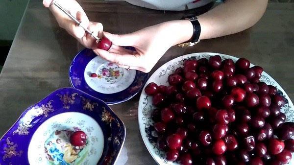 eliminación de semillas de cerezas