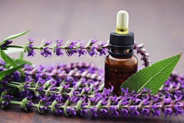 salvia para el cabello