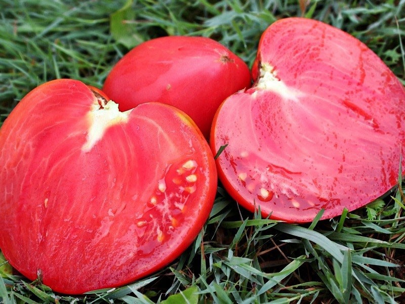 Tomate Cardinal en coupe