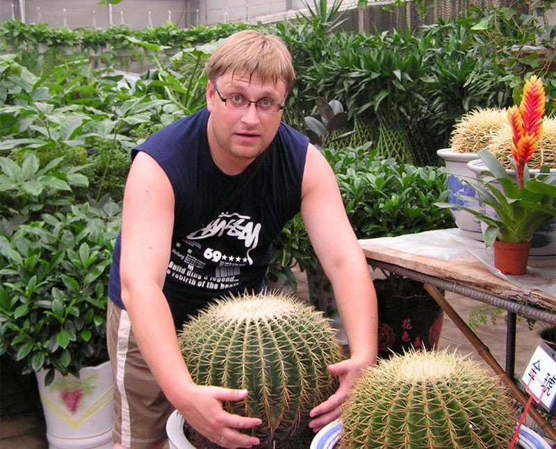 culture d'échinocactus gruzoni