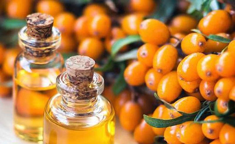 aceite de espino amarillo propiedades medicinales indicaciones de uso