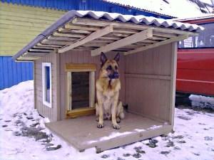 Niche à chien