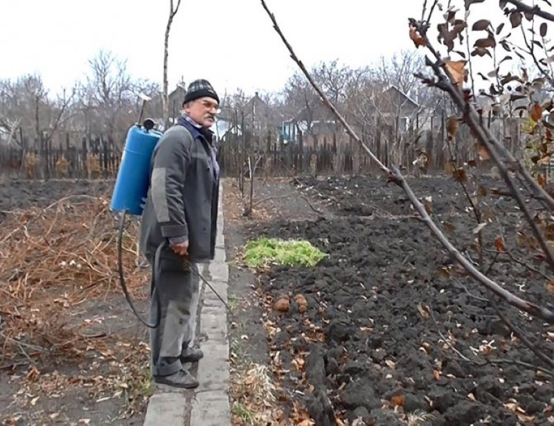 quand vous pouvez traiter le jardin avec du sulfate de fer