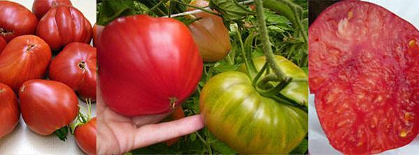 variedad de frutos grandes