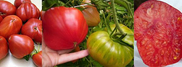 variété à gros fruits