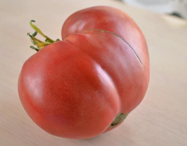 tomate sucrée juteuse