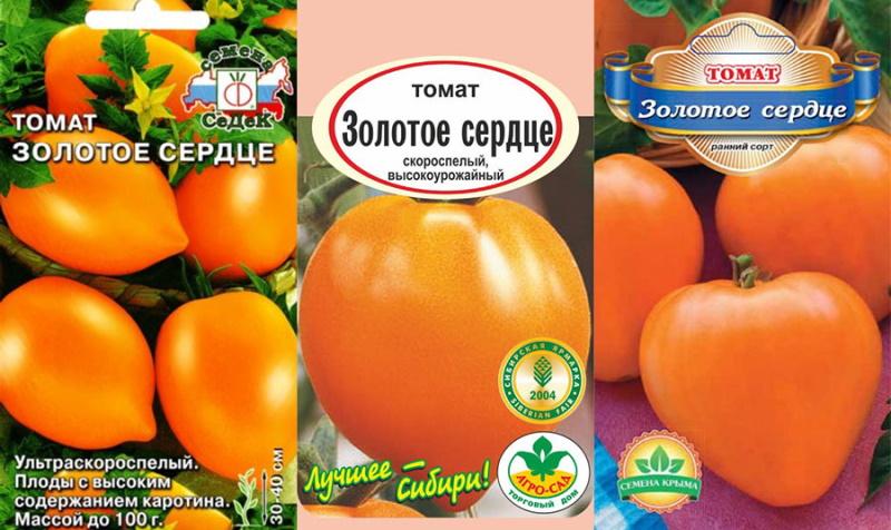 graines de tomates coeur doré