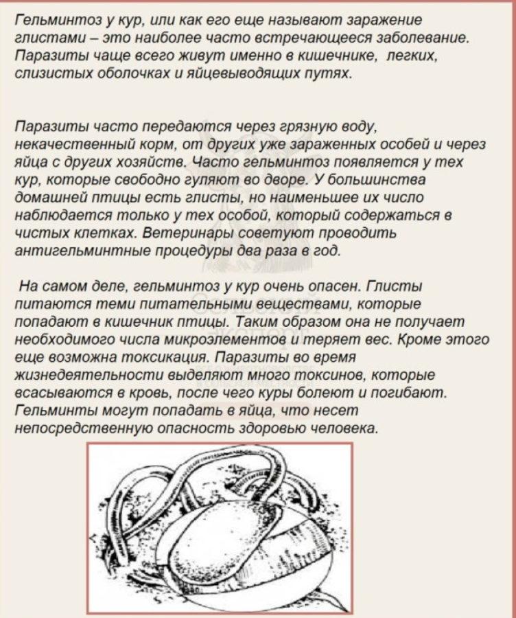 helmintiasis en aves