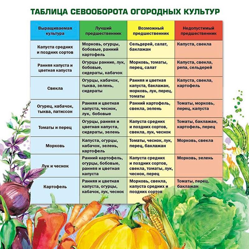 tabla de rotación de cultivos