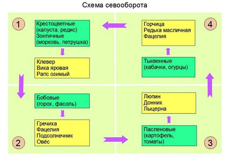 esquema de rotación de cultivos