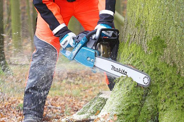 Tronçonneuse Makita au travail