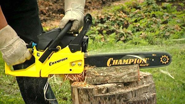 Asistente confiable de Chainsaw Champion para el residente de verano