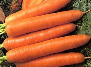 Zanahorias tushon