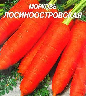 Zanahorias Losinoostrovskaya