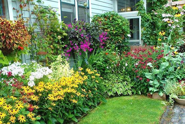 un lecho de flores de plantas perennes cerca de una casa de campo