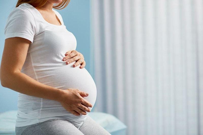 El boj está contraindicado para mujeres embarazadas.